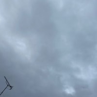 2025年06月15日　雨続く
