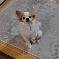 医大の皮膚科に行って来ました