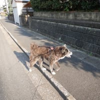 もう梅雨明け！