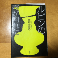 ルビンの壺が割れた   宿野かほる