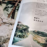 食道