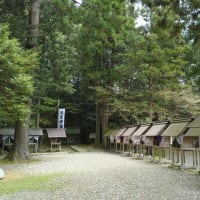2025-06-11 Photo