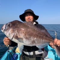 宝昌丸　(6/1~7日)の釣果情報