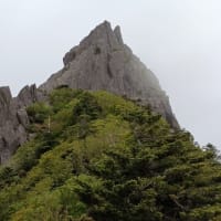 四国　石鎚山 東稜～墓場尾根と子持権現山