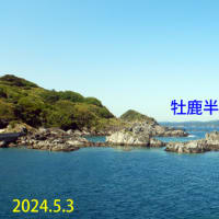 2024年5月3日（金）竹浦の海＆江ノ島の漁業支援活動