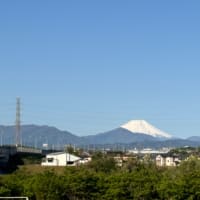 #他所を知る意味