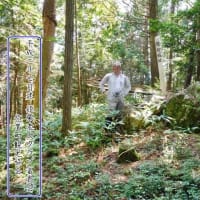 猪狩山城 美濃　二つの立体図を比較して楽しむ