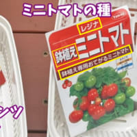 (水耕栽培２) いちご・スイカ・メロン <androidyoshiakiのメモ帳>