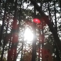 福島県への旅