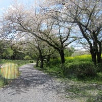 続丸山公園