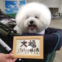 【かわらしマルシェ】出店のお知らせ