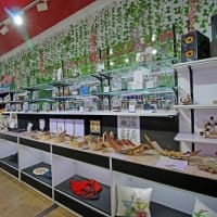 Alex Bendinelli Shop