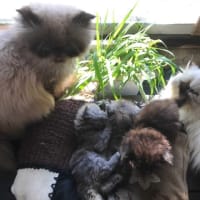 手始めに(^O^)／