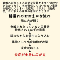 腸漏れ　危険な食品