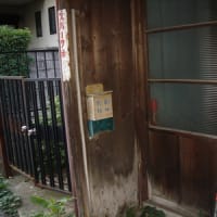 空き家を見つける。