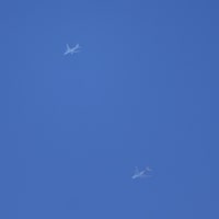 飛行機