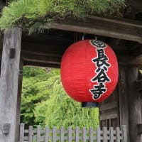 鎌倉　大仏と長谷寺参拝です。
