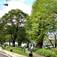 ただの公園