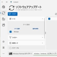 Windows Terminal 1.22.11751.0 （ストア版）がリリースされました。