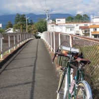 大日影トンネル遊歩道を歩いてみたよ　　２０２４年１０月２０日 日曜日