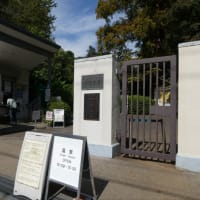 小石川植物園 Part１