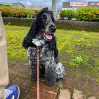 今日のべらぼうで、⁉️････時代劇の風俗考証というほどでもないけど