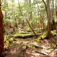 栃木100名山99座目「黒檜岳」