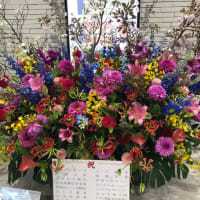 アスティ大垣オープン