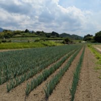 2025初夏の軽井沢旅行2日目（その3）