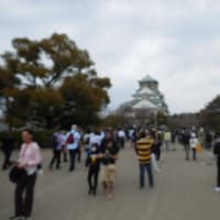 阪神ポタ～