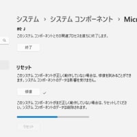 Windows 11 Canary Build 27898.1000 にアップデートしたら、Microsoft Store が起動できなくなりました！！