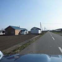 「煩悩林道2025」vol.18「裏275号」