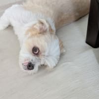 水分補給