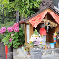佐伯山緑地の紫陽花