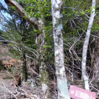 「北日隠山」と「日隠山」