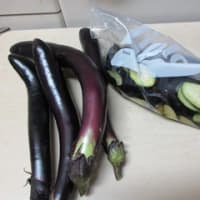 夏休みも後半に