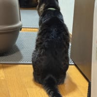 2025/6/25の朝