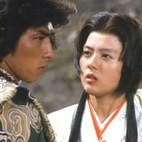 映画 Film291 『里見八犬伝（1983年）』