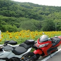 ひまわり