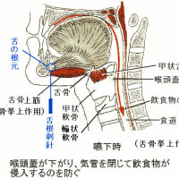 三叉神経第Ⅲ枝関連の顔面骨孔への刺針 