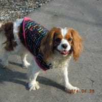 Happy　birthday　Shelly♪