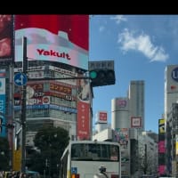 2025 1 29 こんにちは