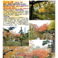 施設案内東京-537   赤坂見附情報