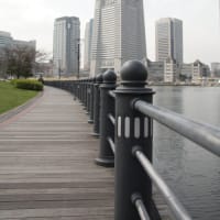 運河パークから望む横浜ランドマークタワーの風景写真