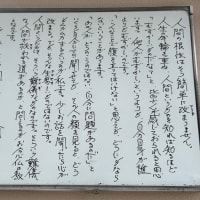 人間というものは難儀なもの　【私の雑記帳 2025.5.28 大阪市内】