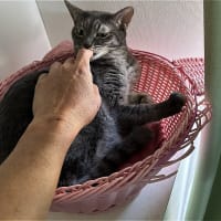 寝かしつけｗ