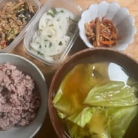 四毒抜き作り置き　適当にその2