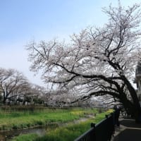 今年はムズかった(;´･ω･)