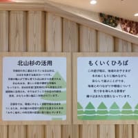 イオンモール北大路に「もくいく広場」が出来ました。