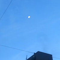 連日午前４時起きはちとつらい